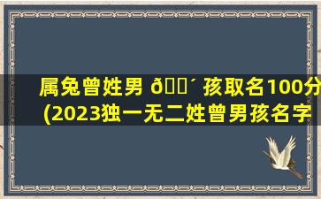 属兔曾姓男 🐴 孩取名100分(2023独一无二姓曾男孩名字)